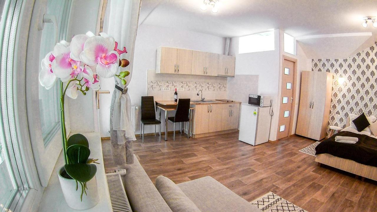 Nice & Cozy Apartments Timişoara Eksteriør bilde