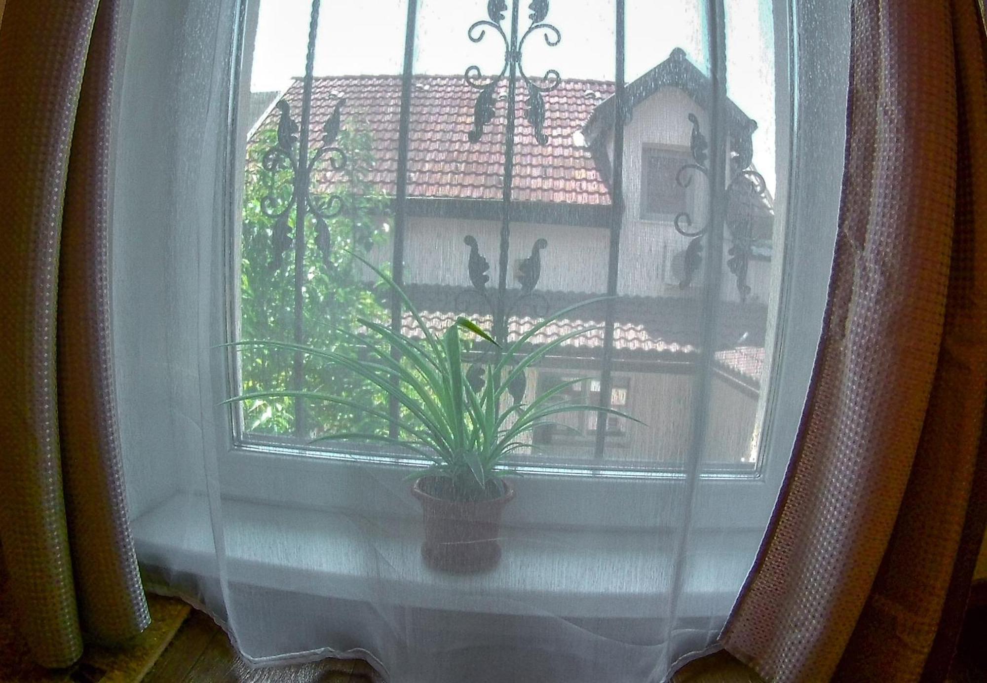 Nice & Cozy Apartments Timişoara Rom bilde